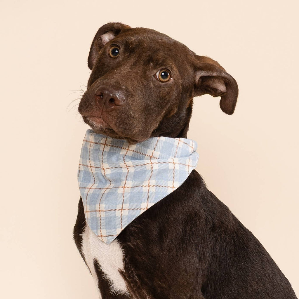 Harlowe Dog Bandana