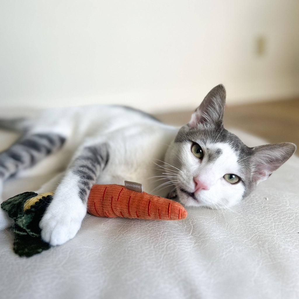 Kitty Baby Carrots Toy
