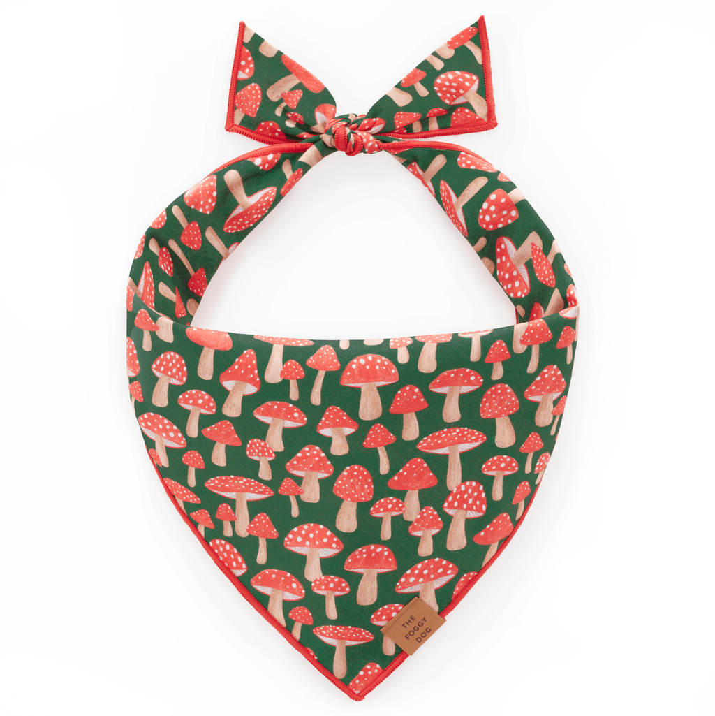 Mushroom Meadow Dog Bandana