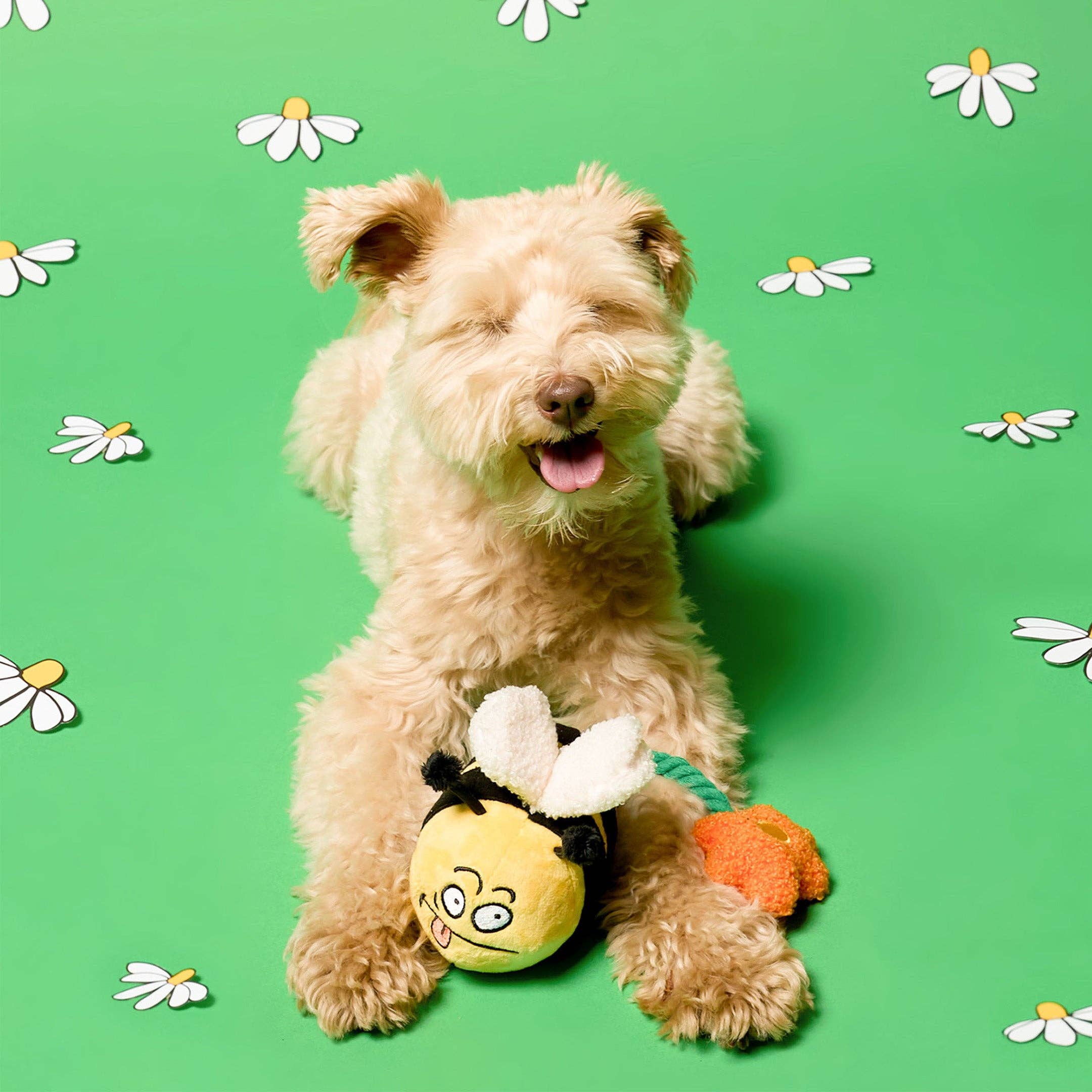 Bee Happy Nosework Toy