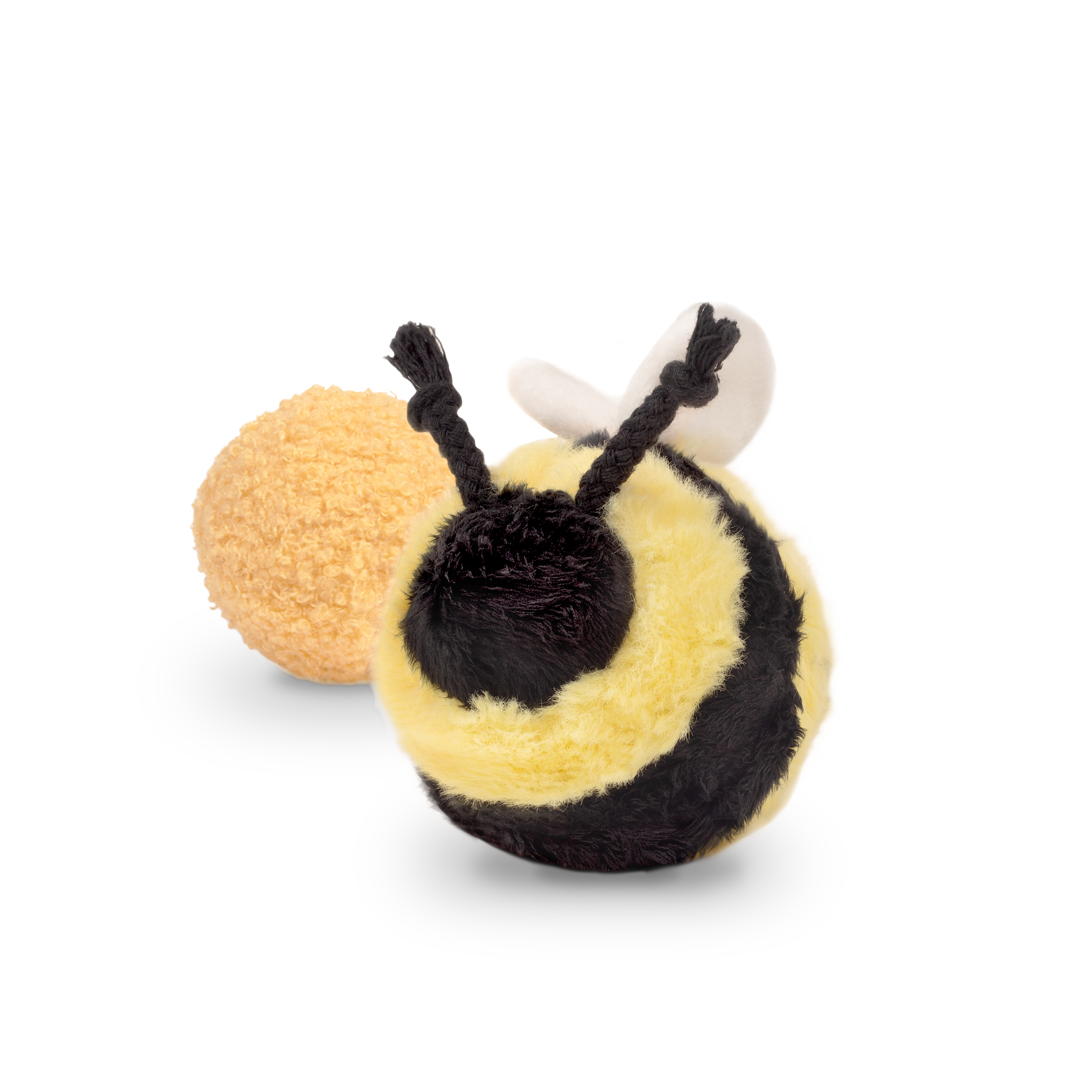 Bee Pop Dog Toy