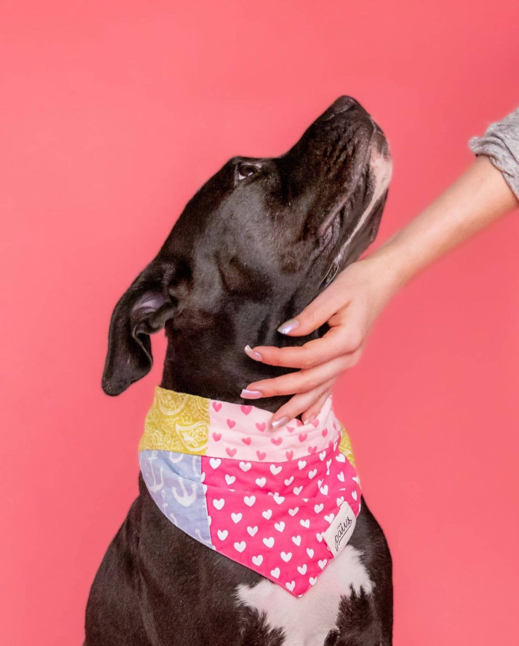 Patches Dog Bandana