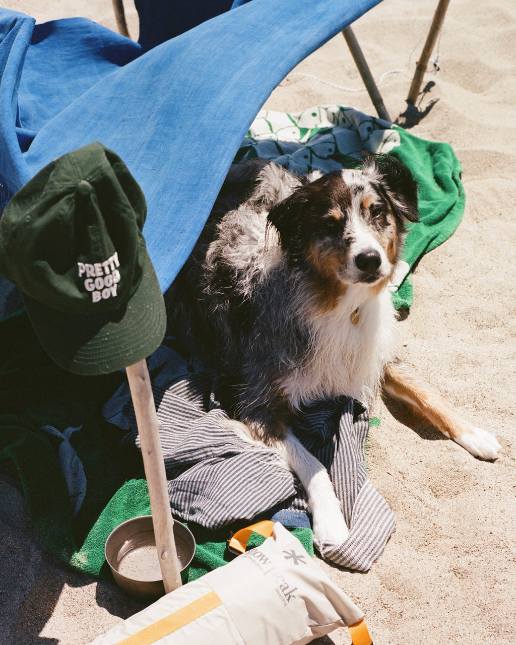 Pretty Good Boy Dad Hat