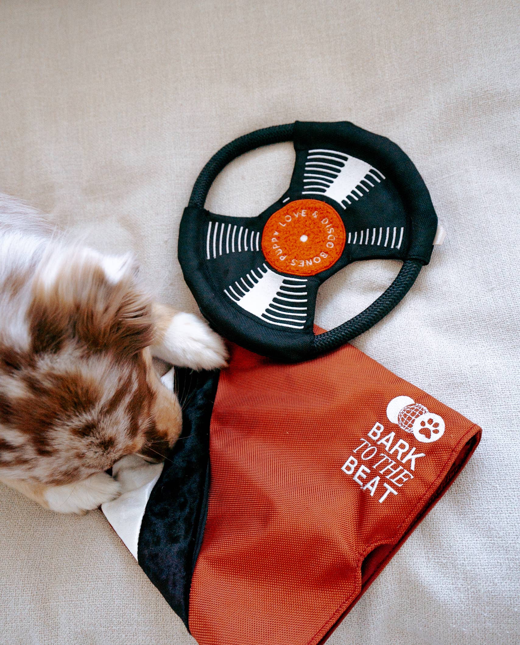 Bark to Beat Enrichment Dog Toy