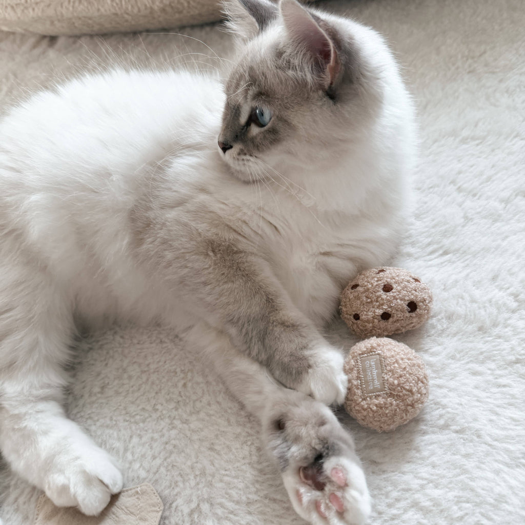 Kitty Tea Time Cat Toy