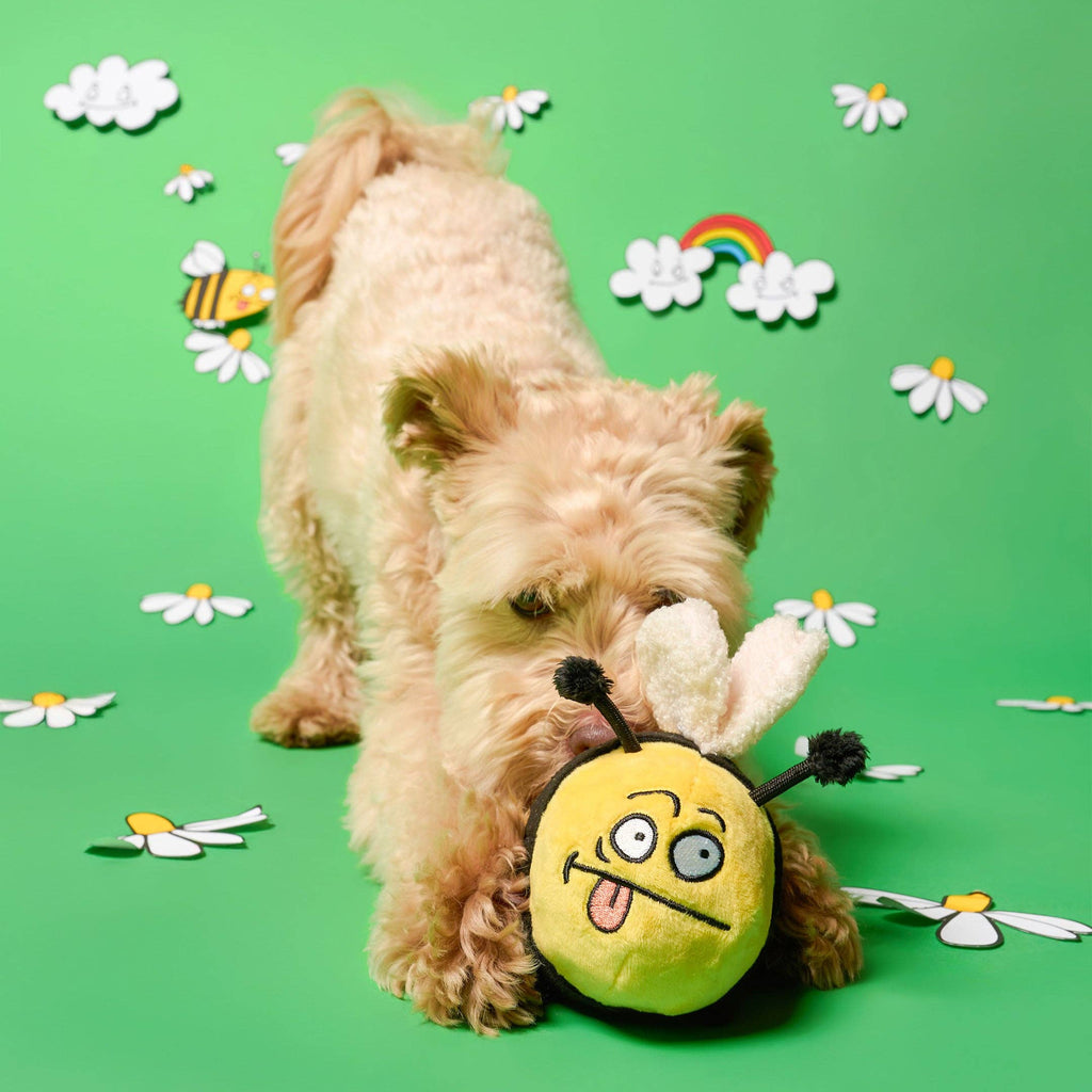 Bee Happy Nosework Toy