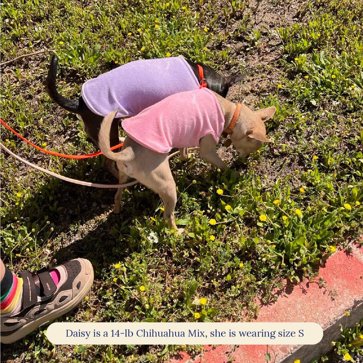 Adedas Sleeveless Shirt