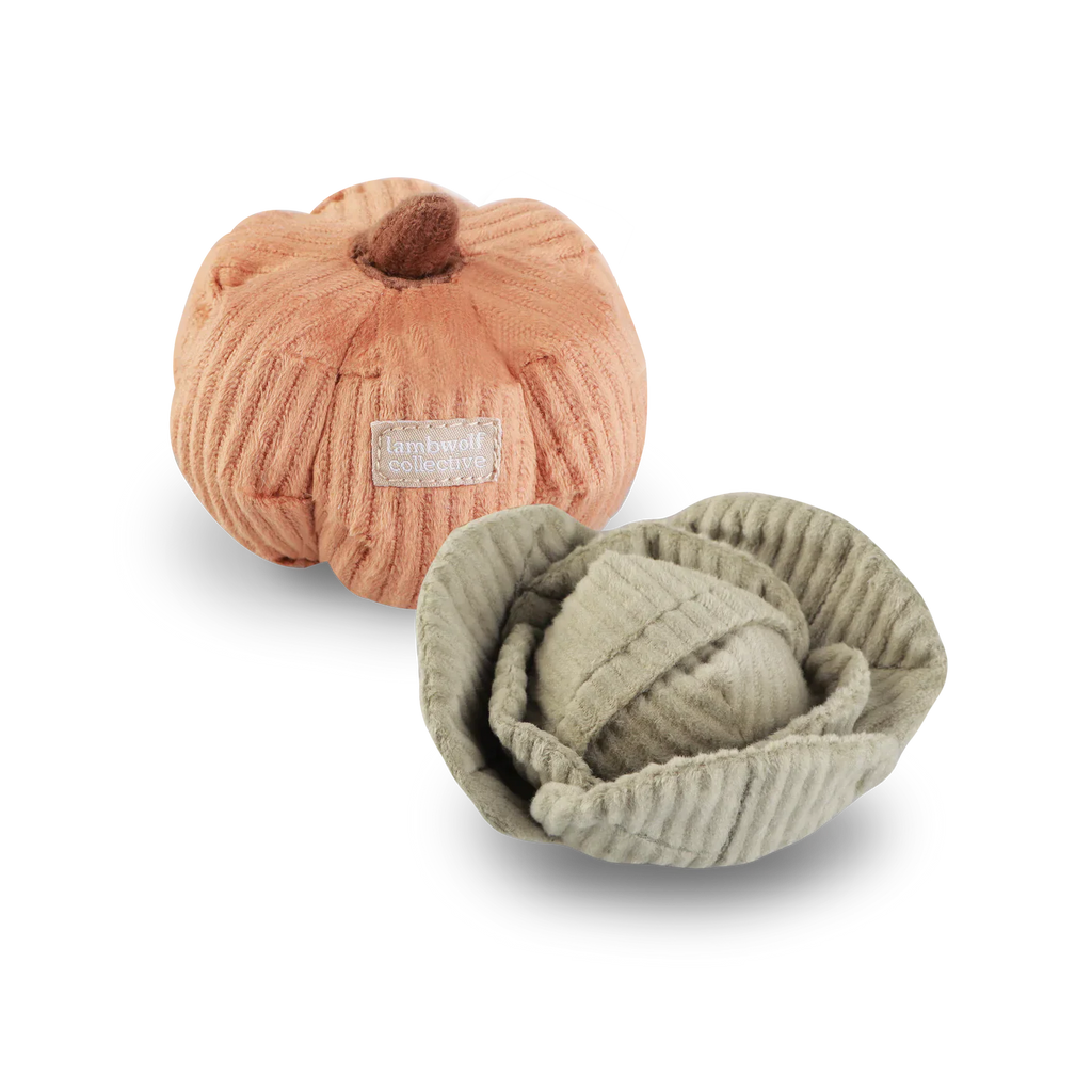 Kitty Veggie Toy Set