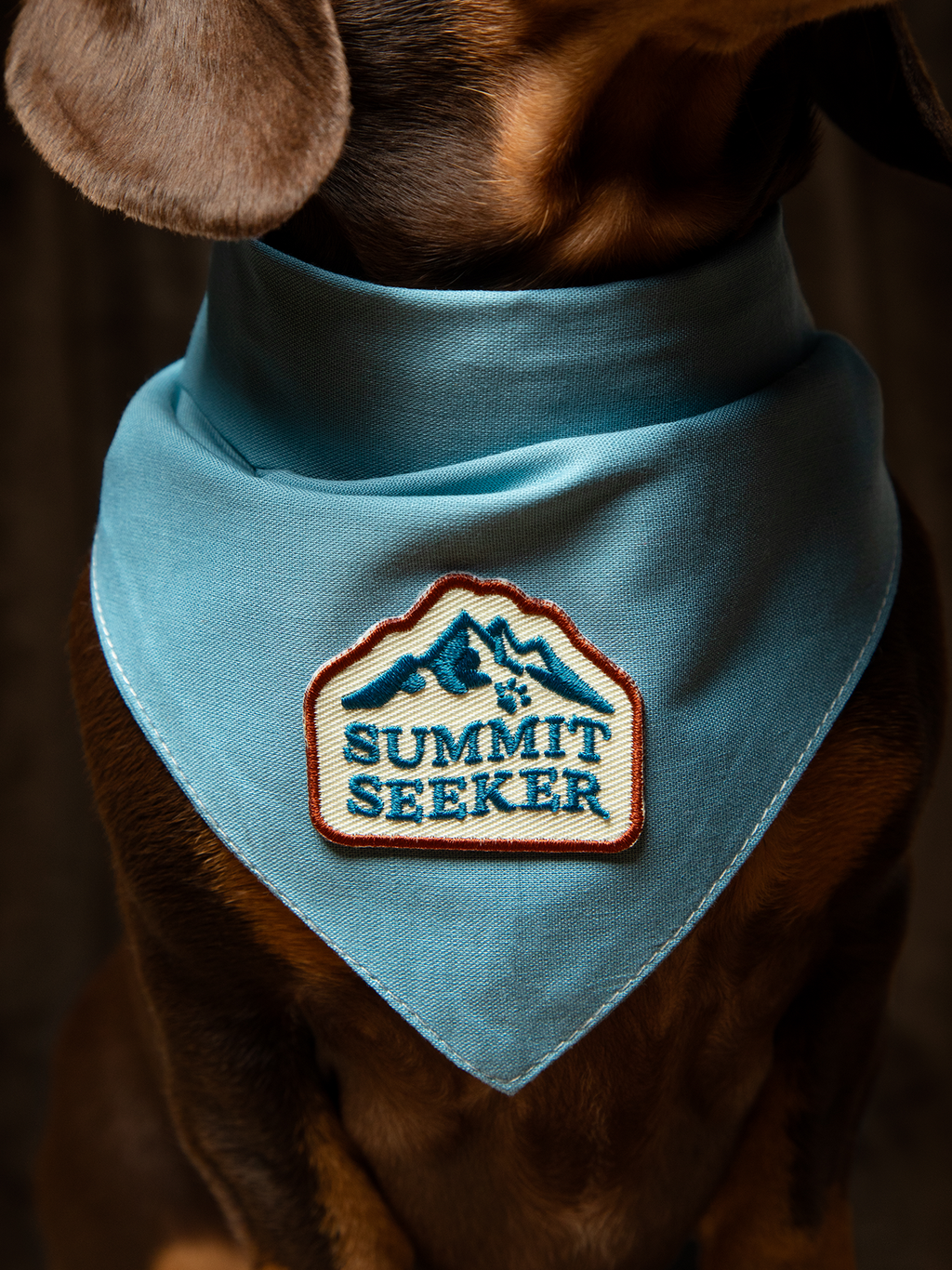 Summit Seeker Iron-On Patch