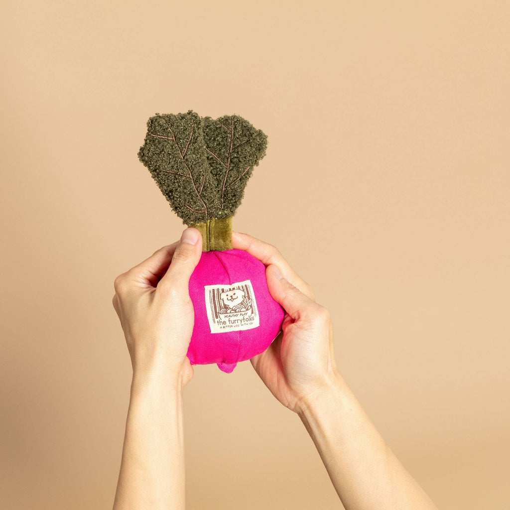 Radish Nose Work Toy