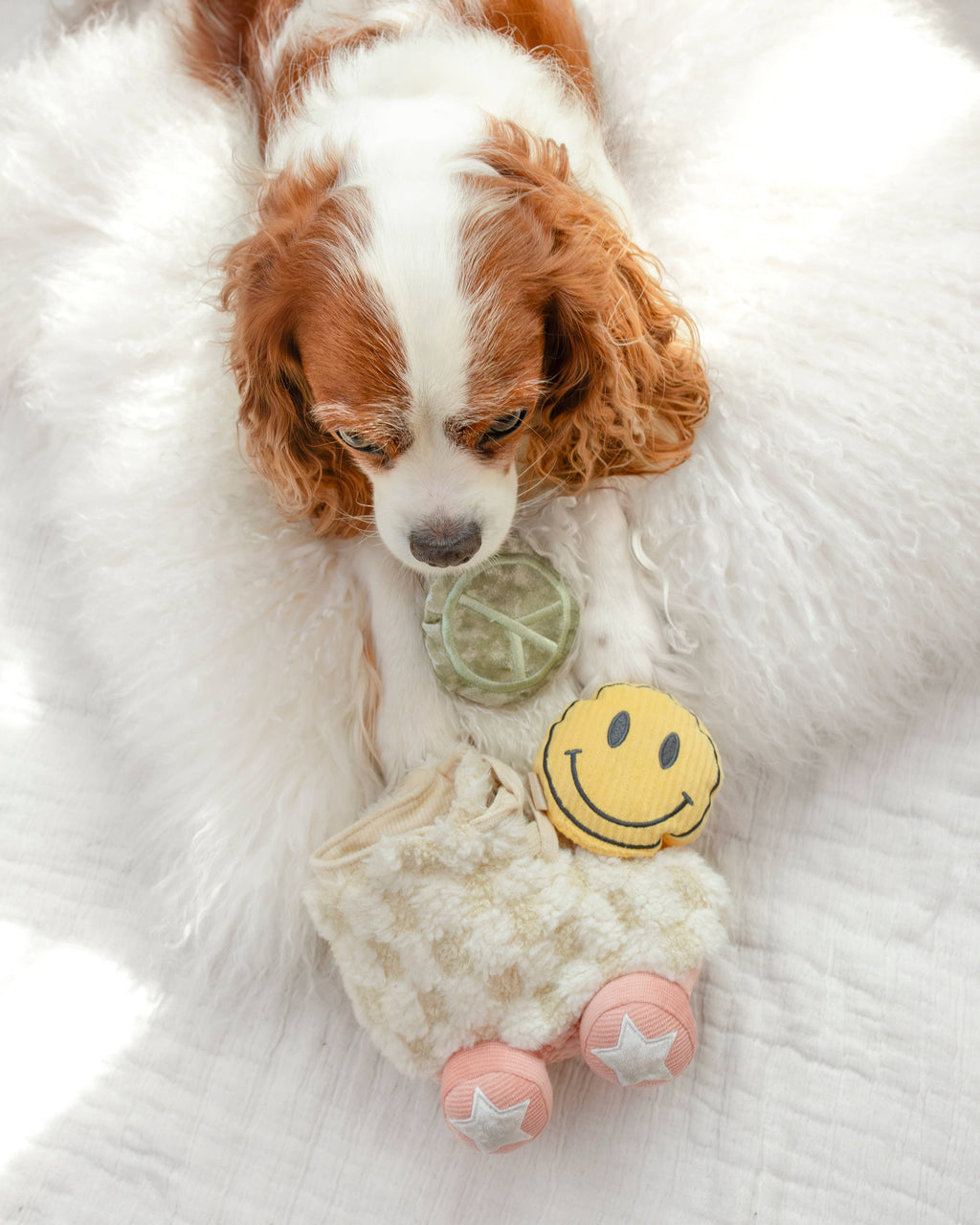 Roller Skate Enrichment Dog Toy