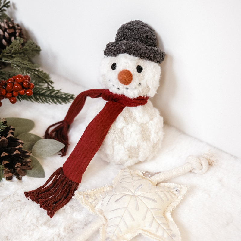 Snowman Enrichment Dog Toy