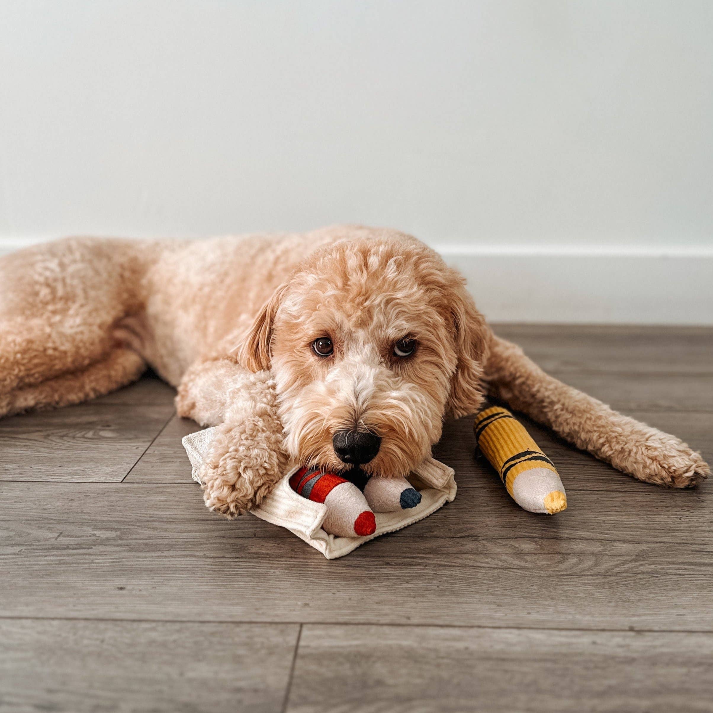 Crayons Enrichment Dog Toy