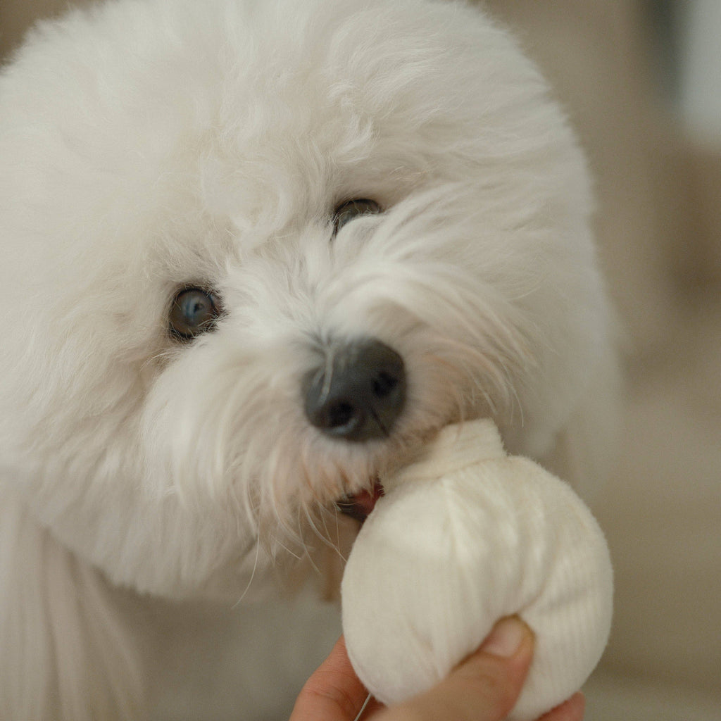 Garlic Enrichment Toy