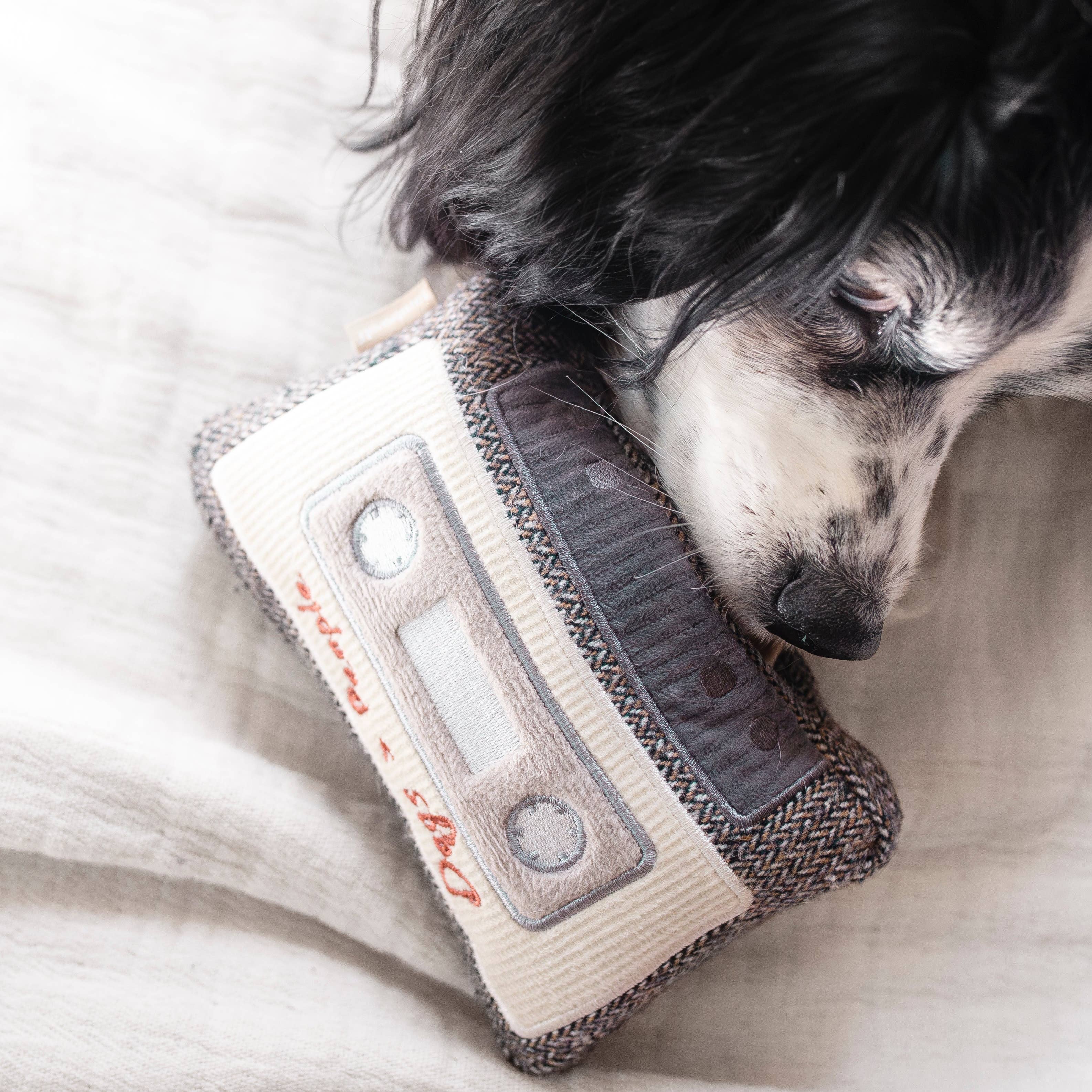 Cassette Enrichment Dog Toy