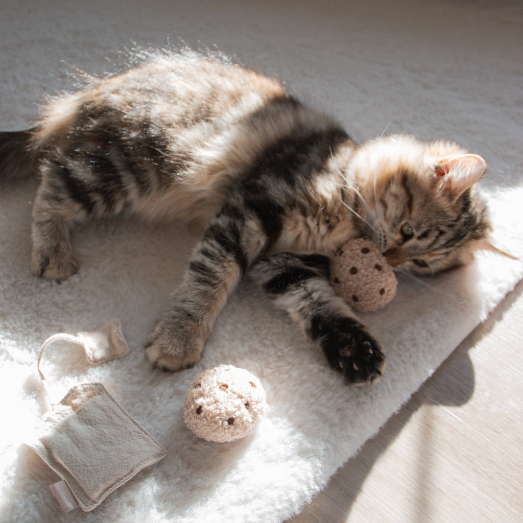 Kitty Tea Time Cat Toy