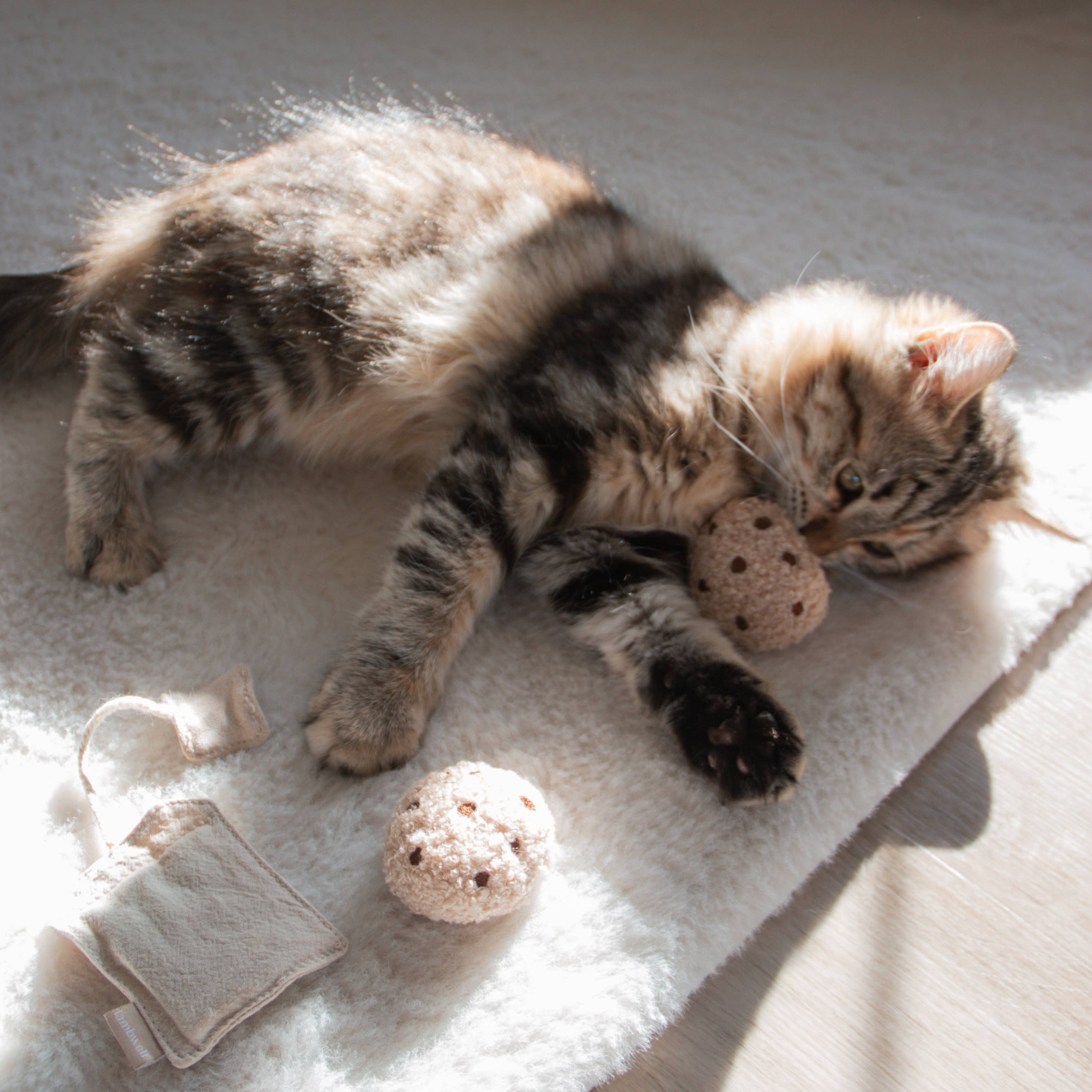 Kitty Tea Time Cat Toy