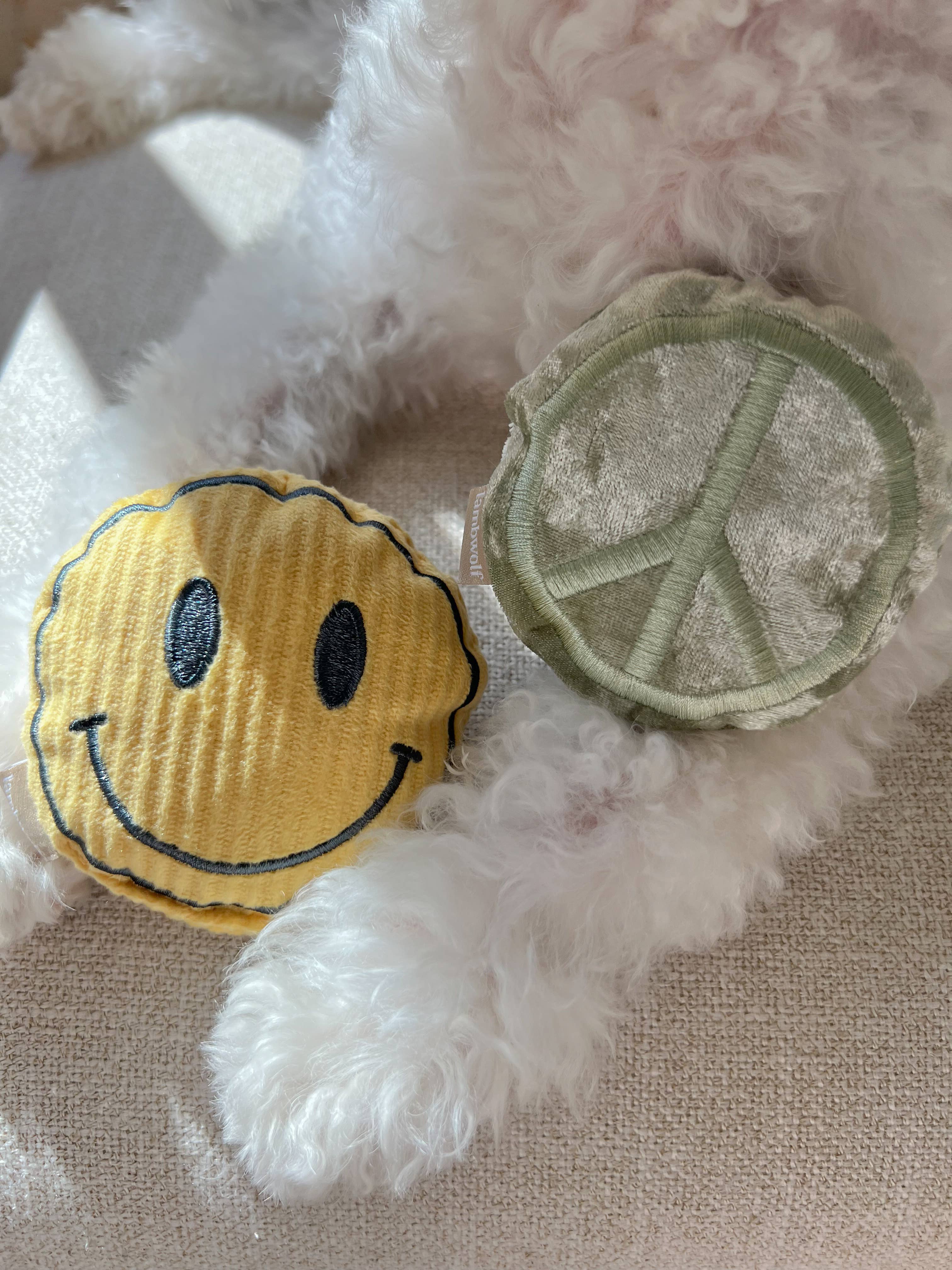 Roller Skate Enrichment Dog Toy