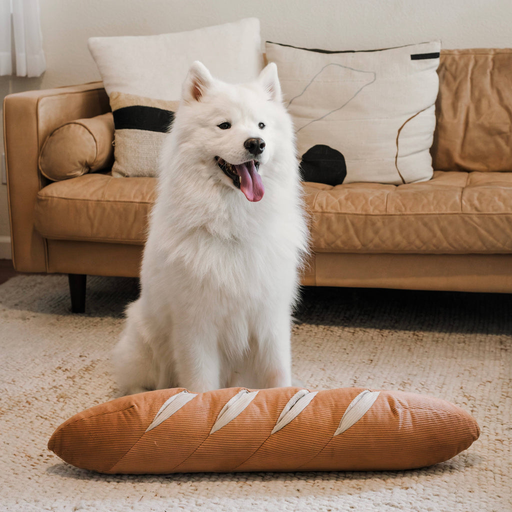 Giant Baguette Dog Toy