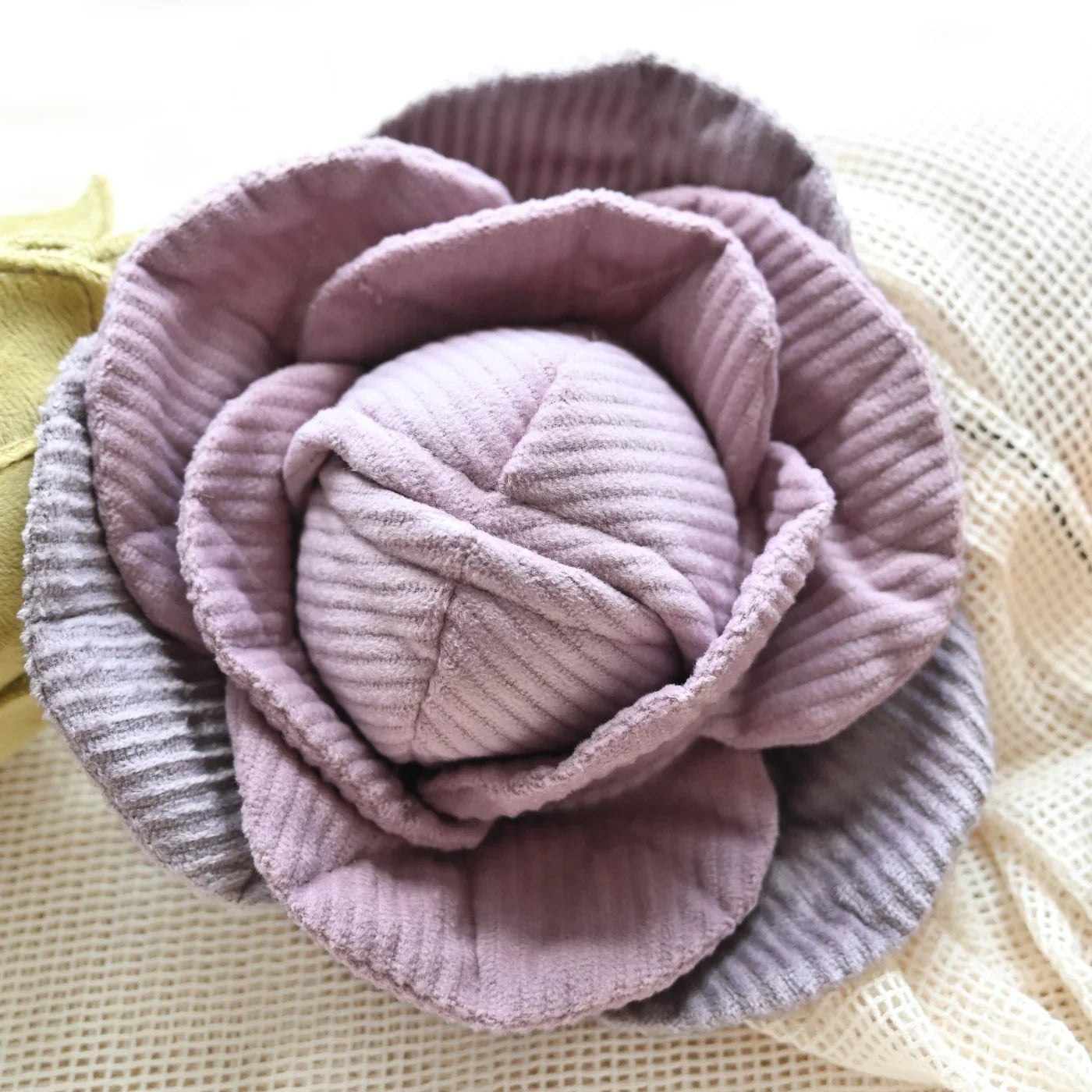 Red Cabbage POP Dog Toy