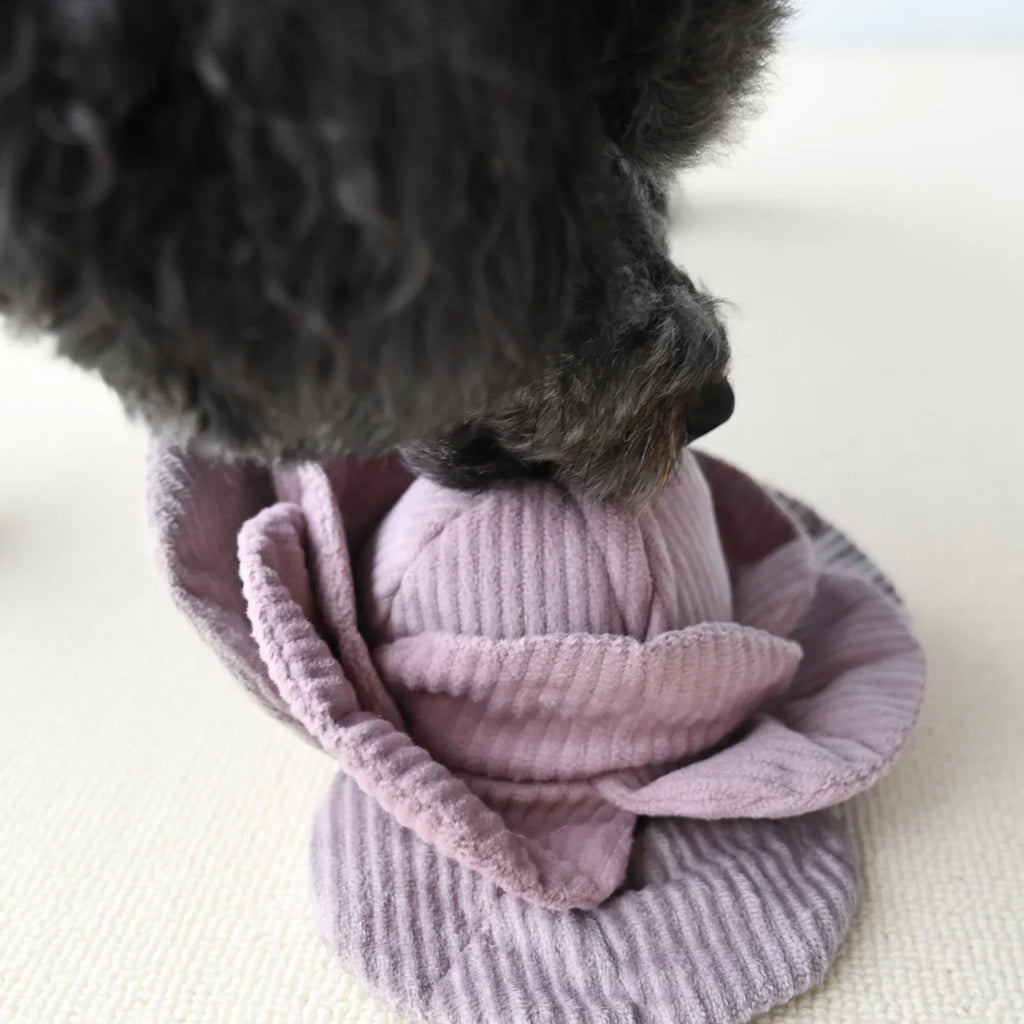 Red Cabbage POP Dog Toy