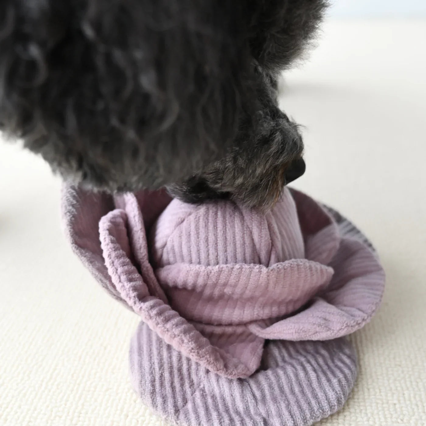 Red Cabbage POP Dog Toy