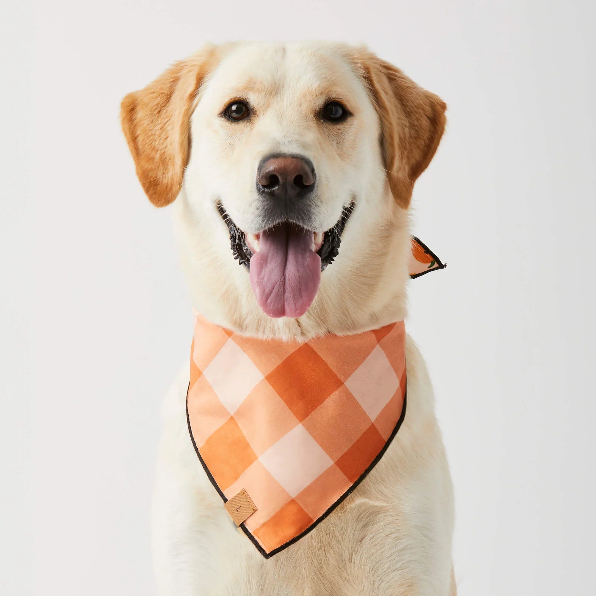 Jack-o’-Lanterns Reversible Halloween Dog Bandana