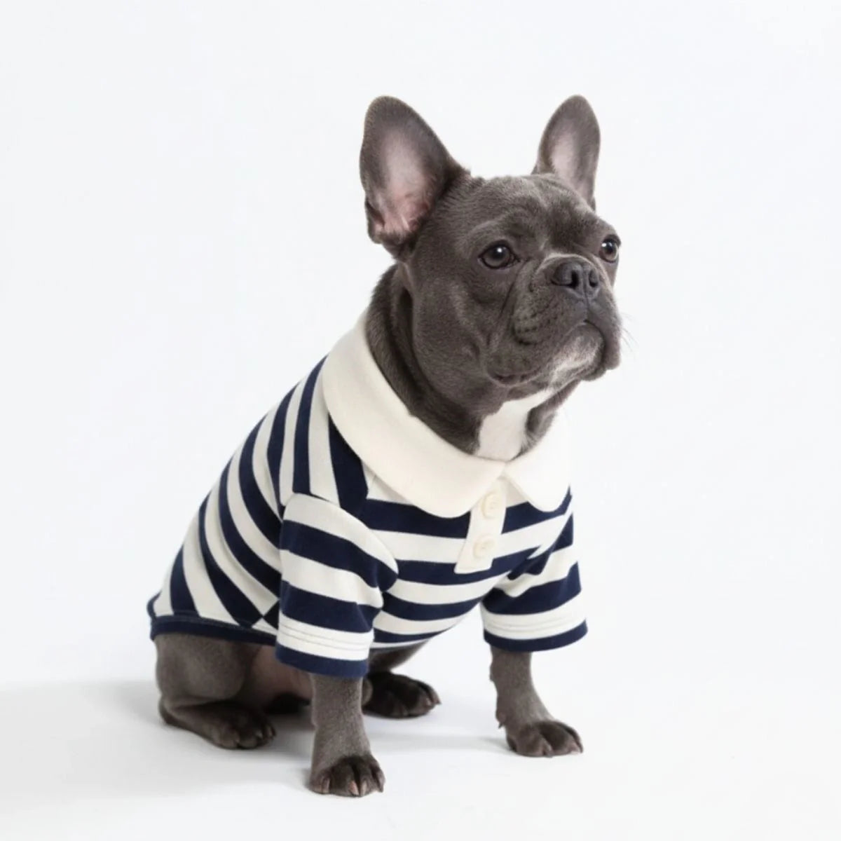 Classic Striped Polo Dog Shirts