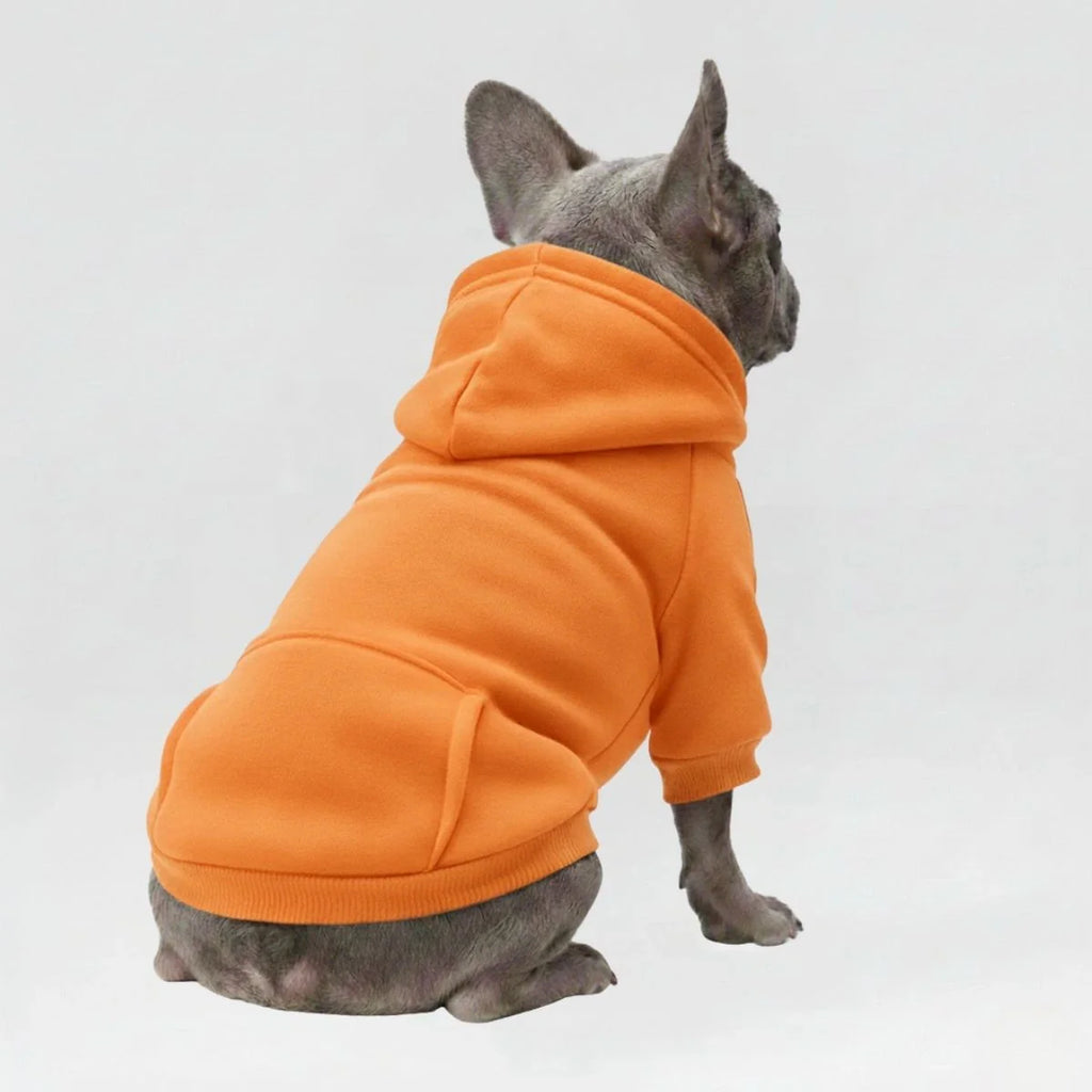 Colorful Cozy Dog Hoodies - Perfect for All-Weather Comfort