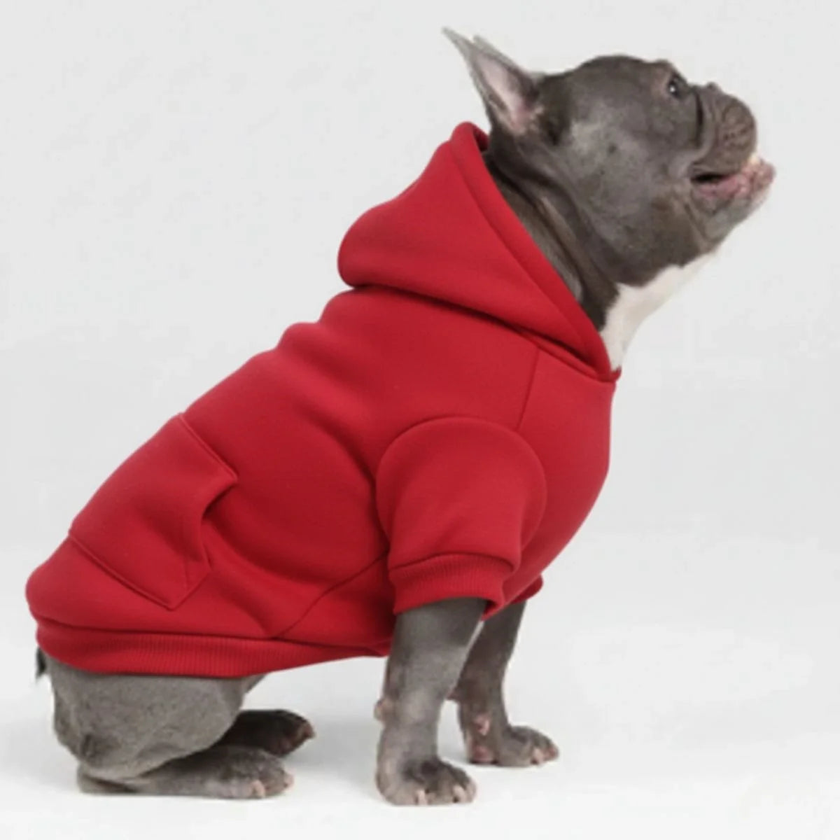 Colorful Cozy Dog Hoodies - Perfect for All-Weather Comfort
