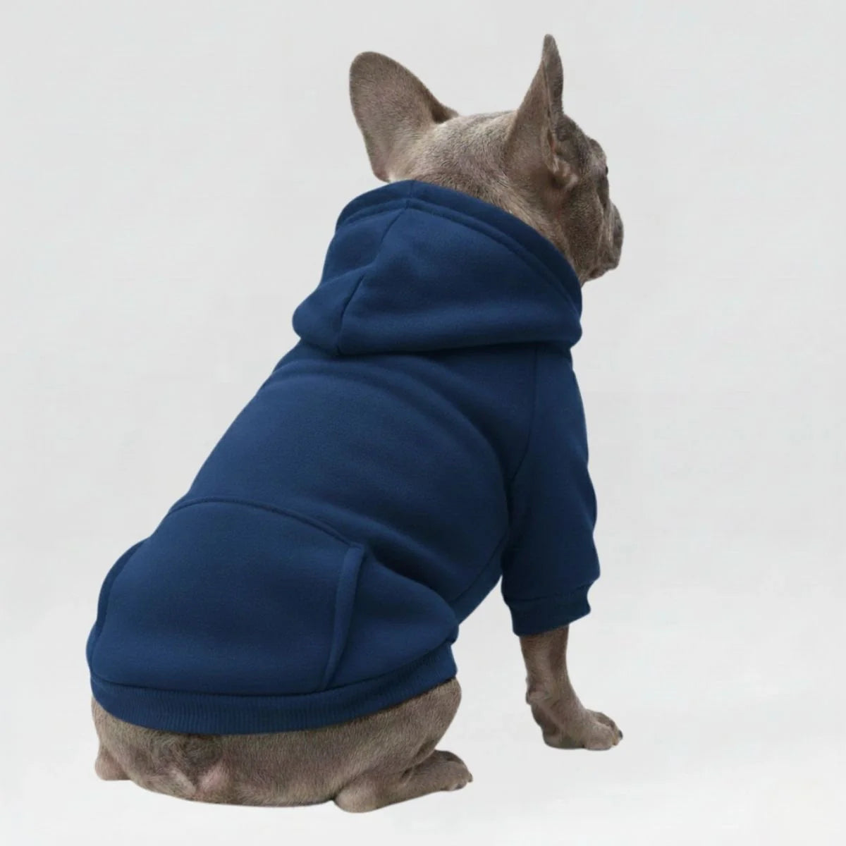 Colorful Cozy Dog Hoodies - Perfect for All-Weather Comfort