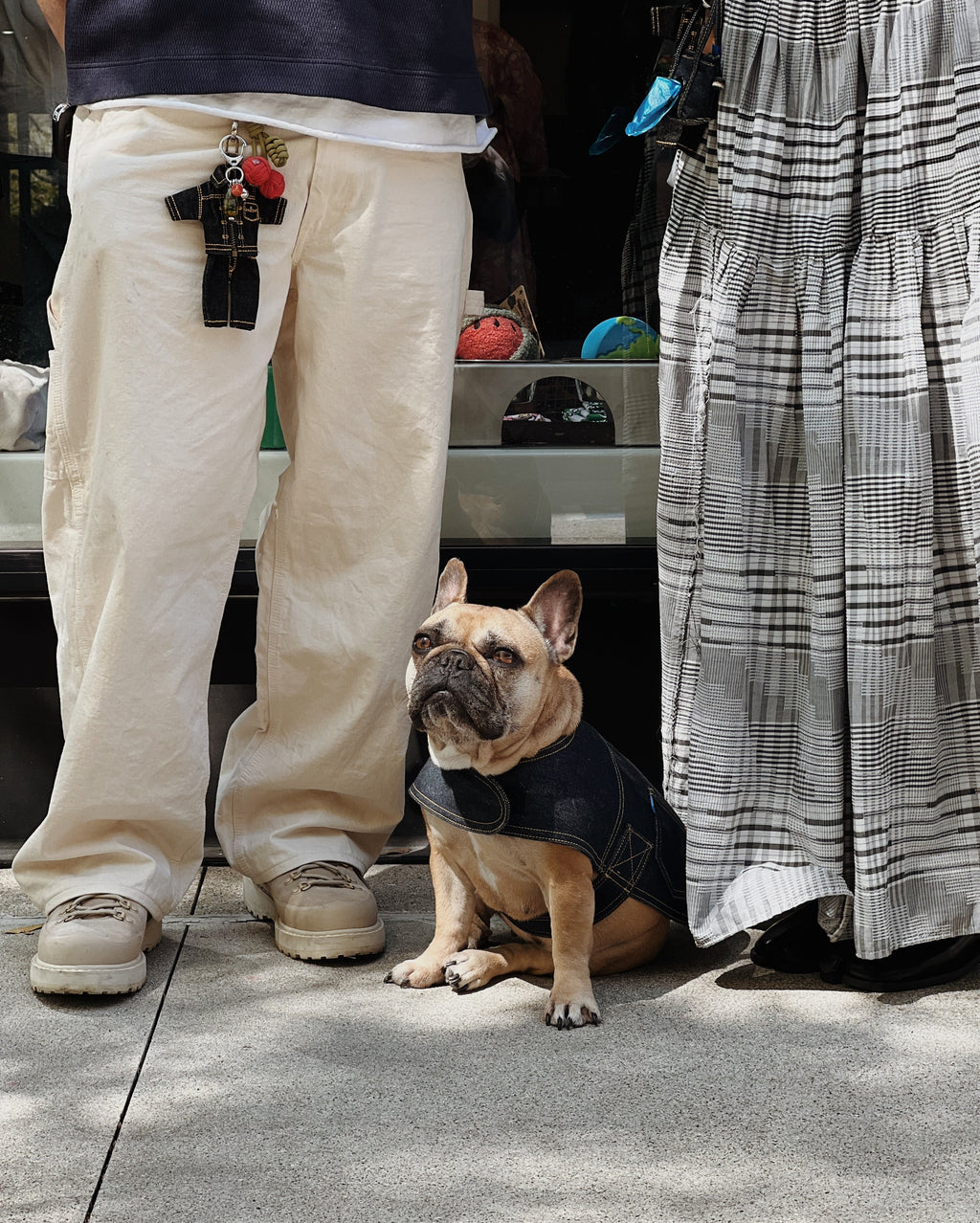 Blue Paws Denim Co. Type-1 Dog Jacket