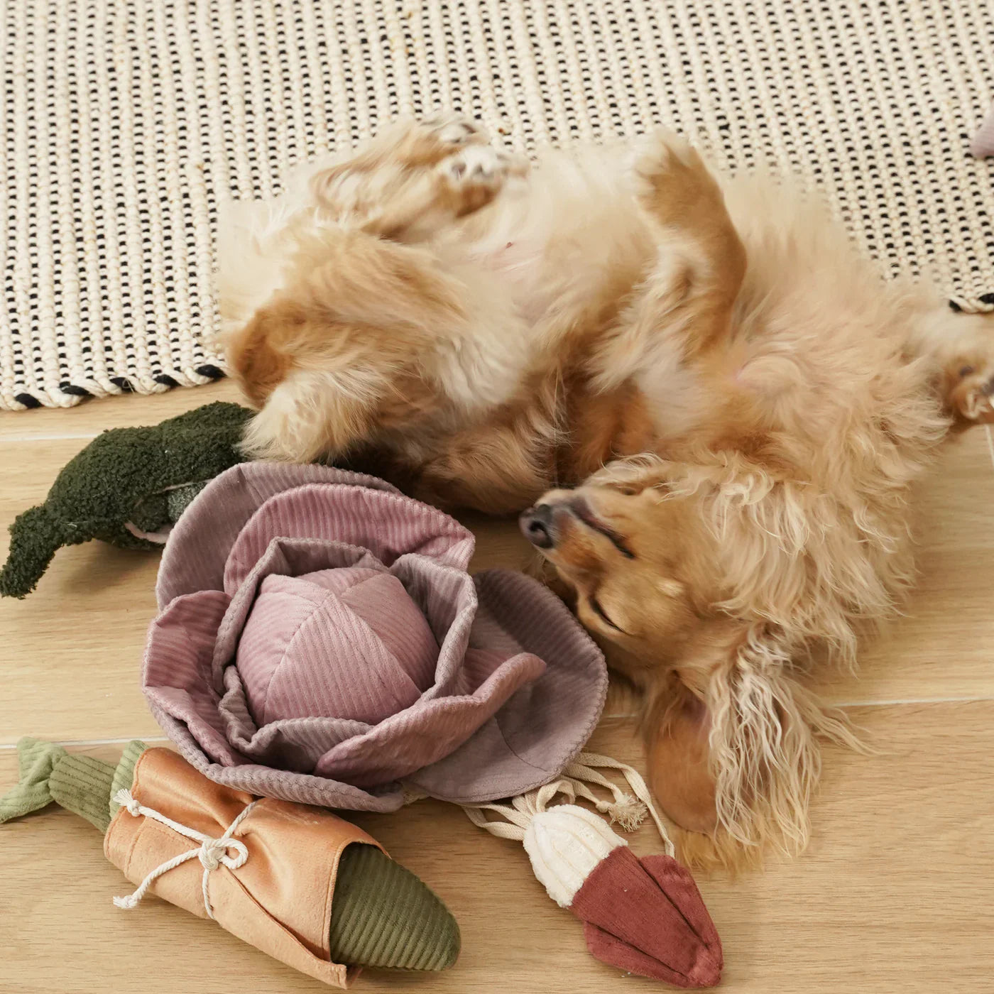 Red Cabbage POP Dog Toy