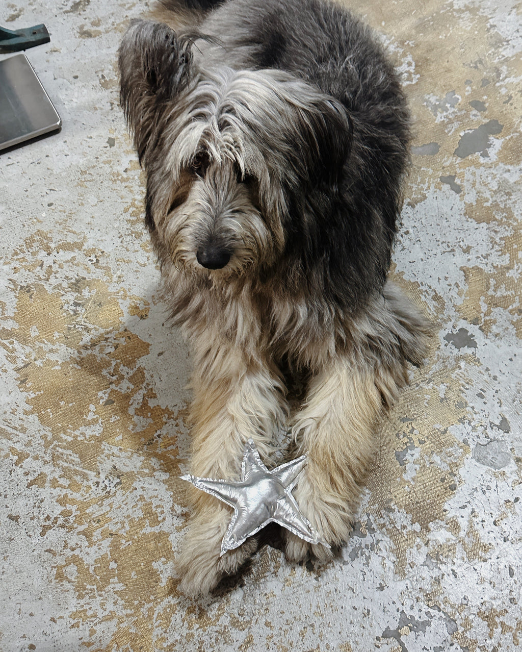 Wabi Sabi Squeaky Toy