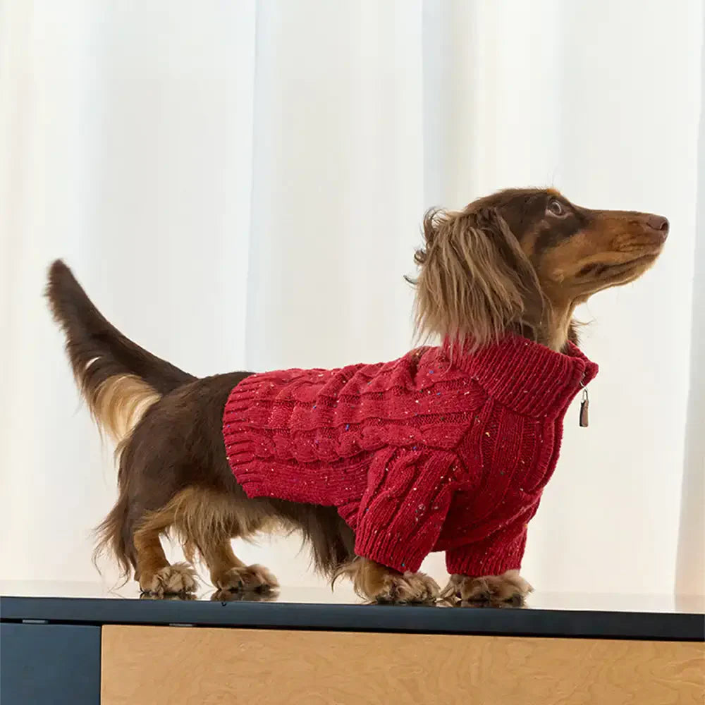 Cable Knit Zipper Collar Dog Sweater For Small Dogs