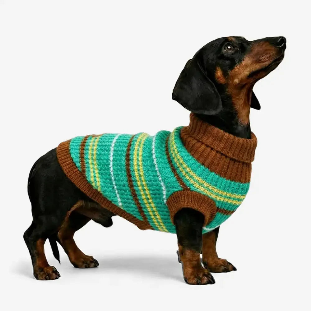 Color Blocked Striped Dog Sweater For Small Dogs