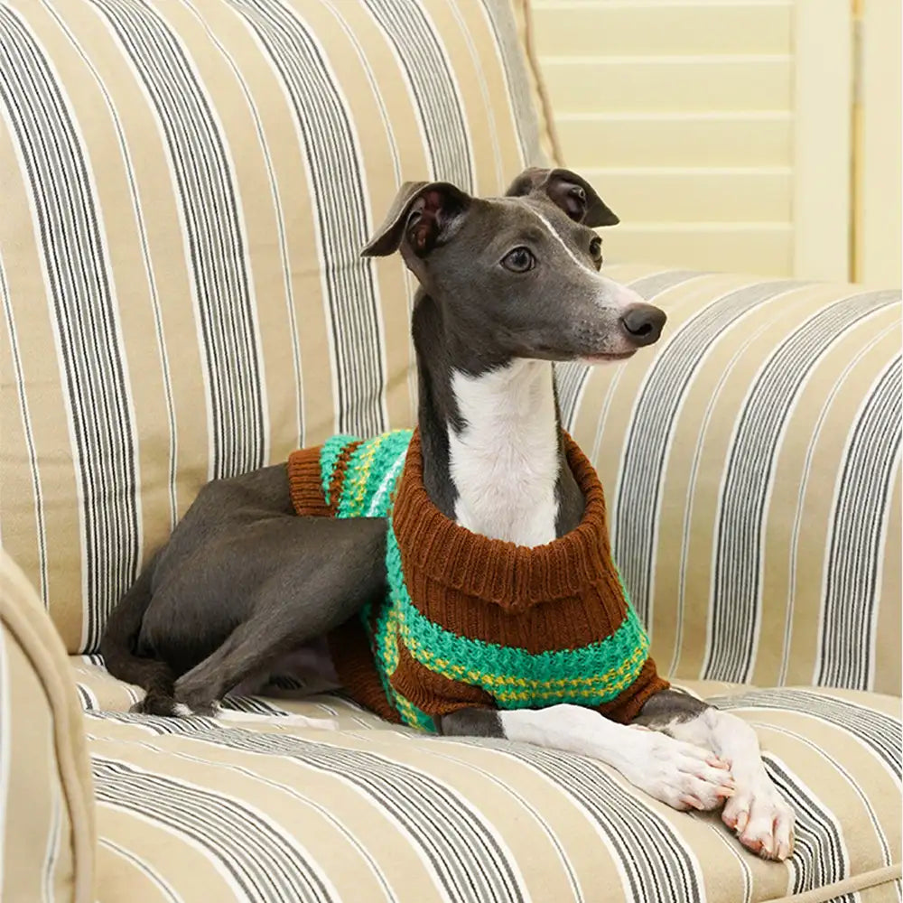 Color Blocked Striped Dog Sweater For Small Dogs