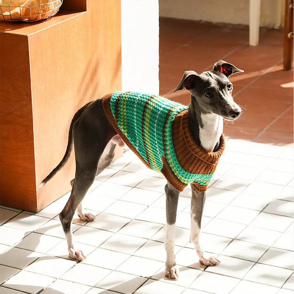 Color Blocked Striped Dog Sweater For Small Dogs