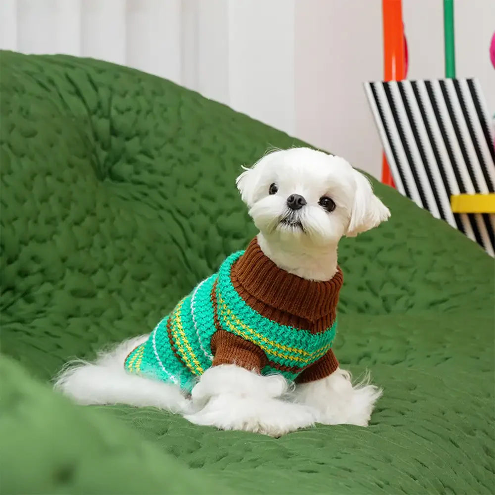 Color Blocked Striped Dog Sweater For Small Dogs