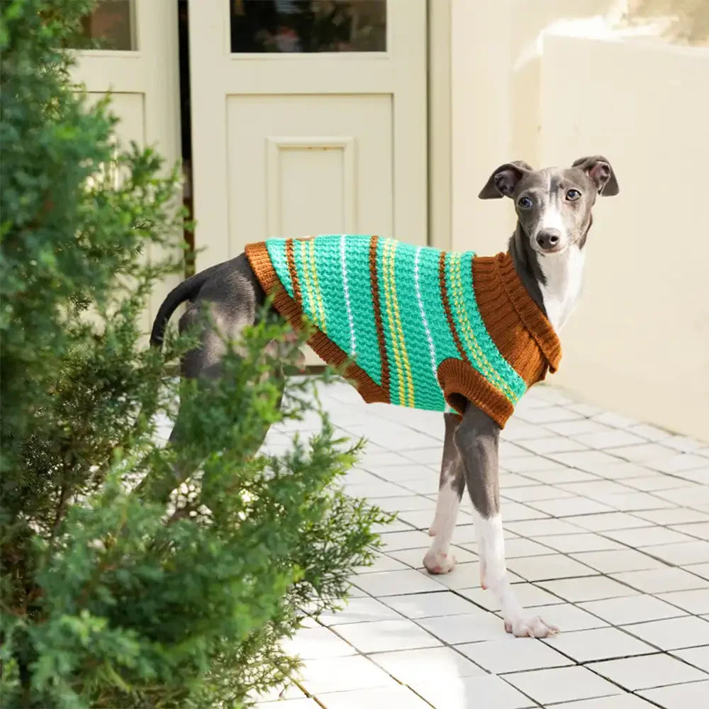 Color Blocked Striped Dog Sweater For Small Dogs