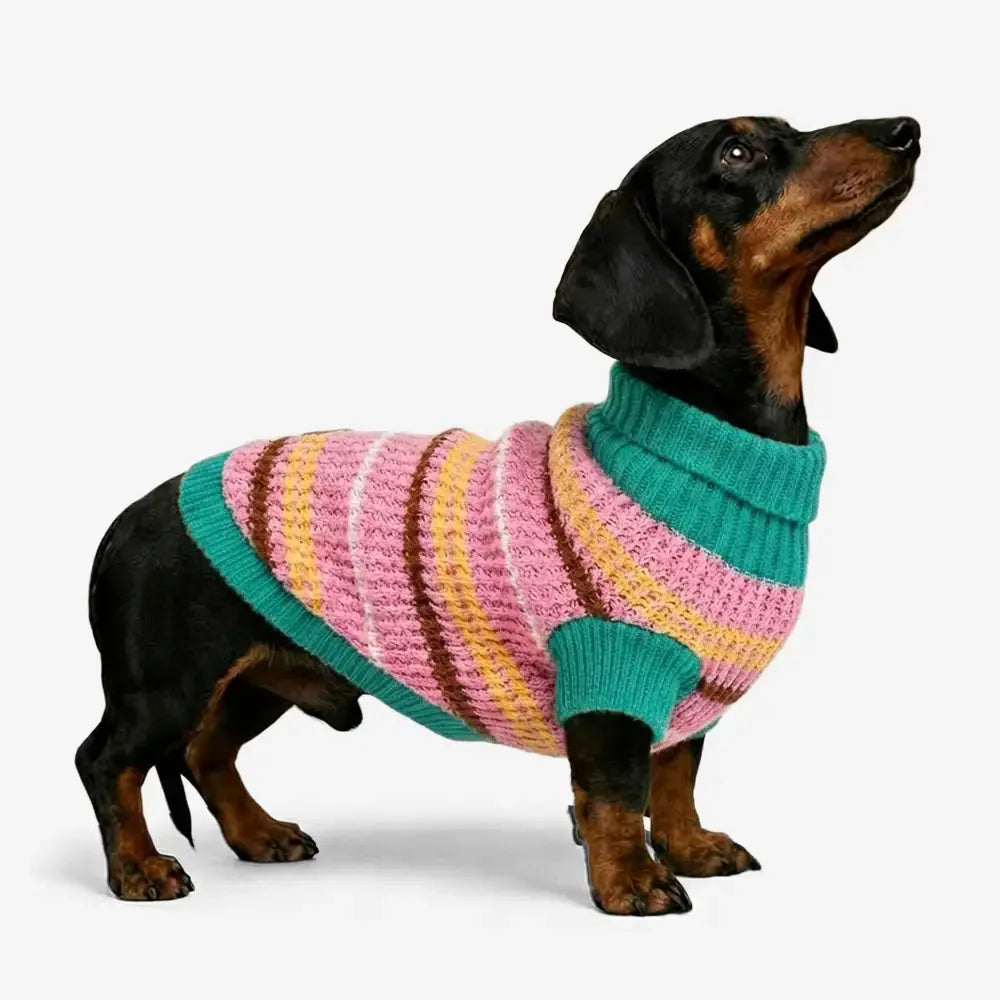Color Blocked Striped Dog Sweater For Small Dogs