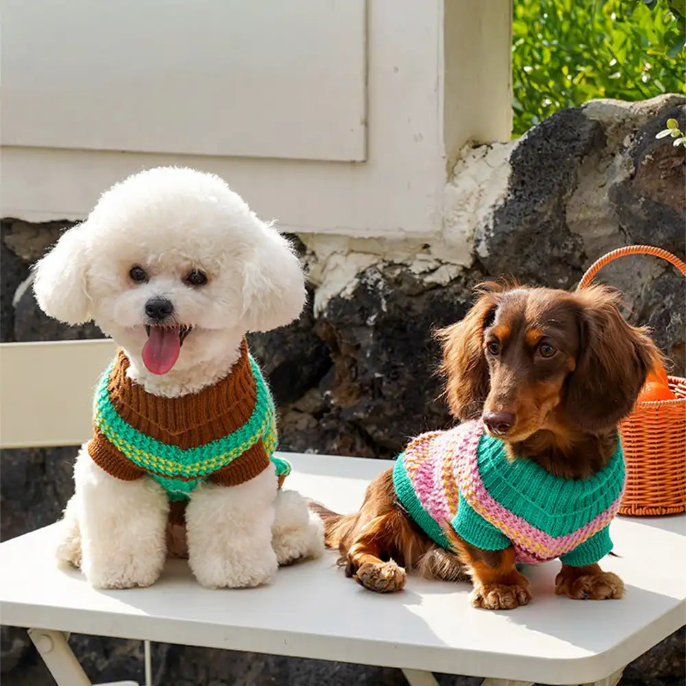 Color Blocked Striped Dog Sweater For Small Dogs