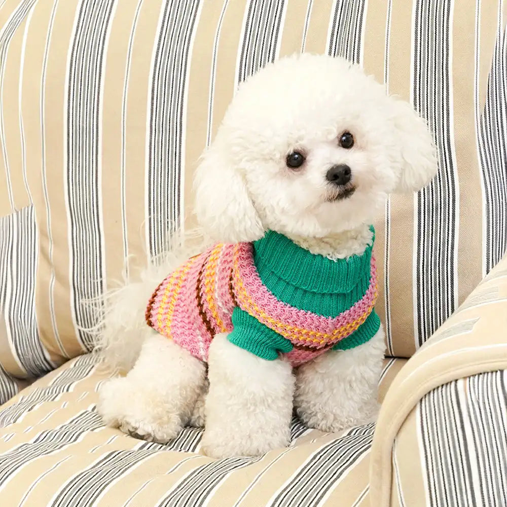 Color Blocked Striped Dog Sweater For Small Dogs
