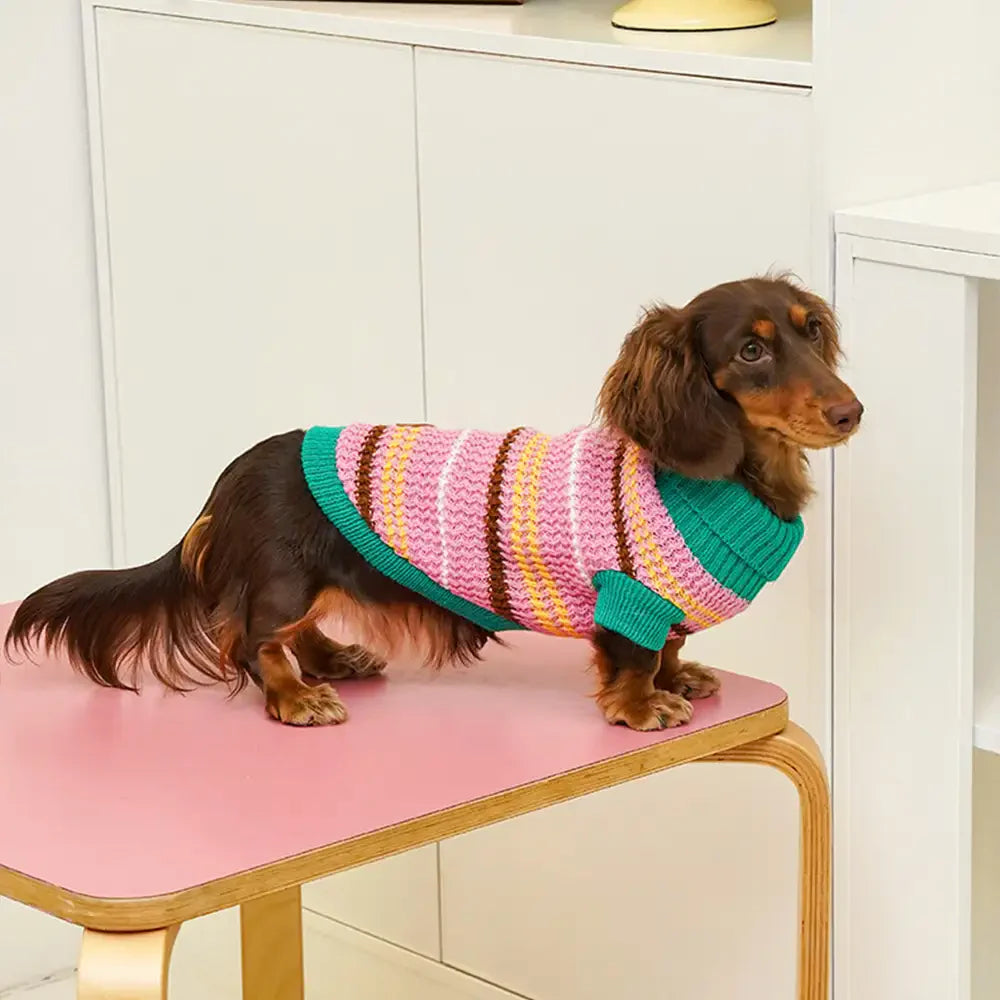 Color Blocked Striped Dog Sweater For Small Dogs