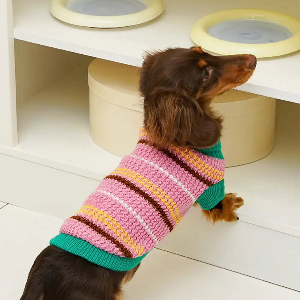 Color Blocked Striped Dog Sweater For Small Dogs