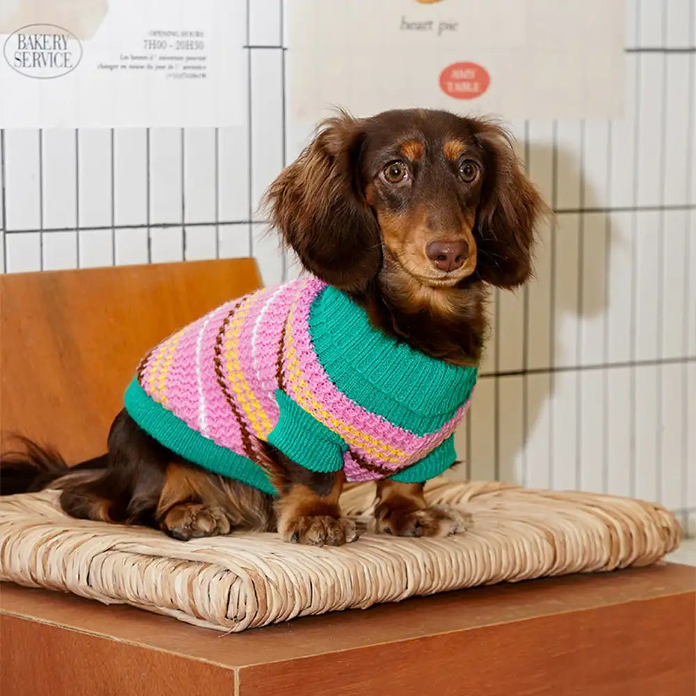 Color Blocked Striped Dog Sweater For Small Dogs