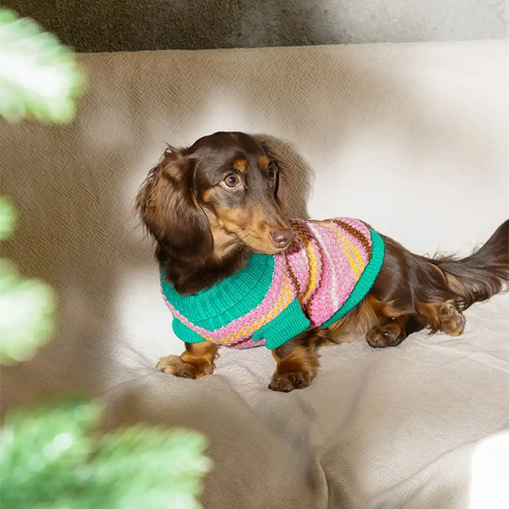 Color Blocked Striped Dog Sweater For Small Dogs