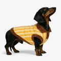 Color Blocked Striped Polo Collar Dog Sweater For Small Dogs