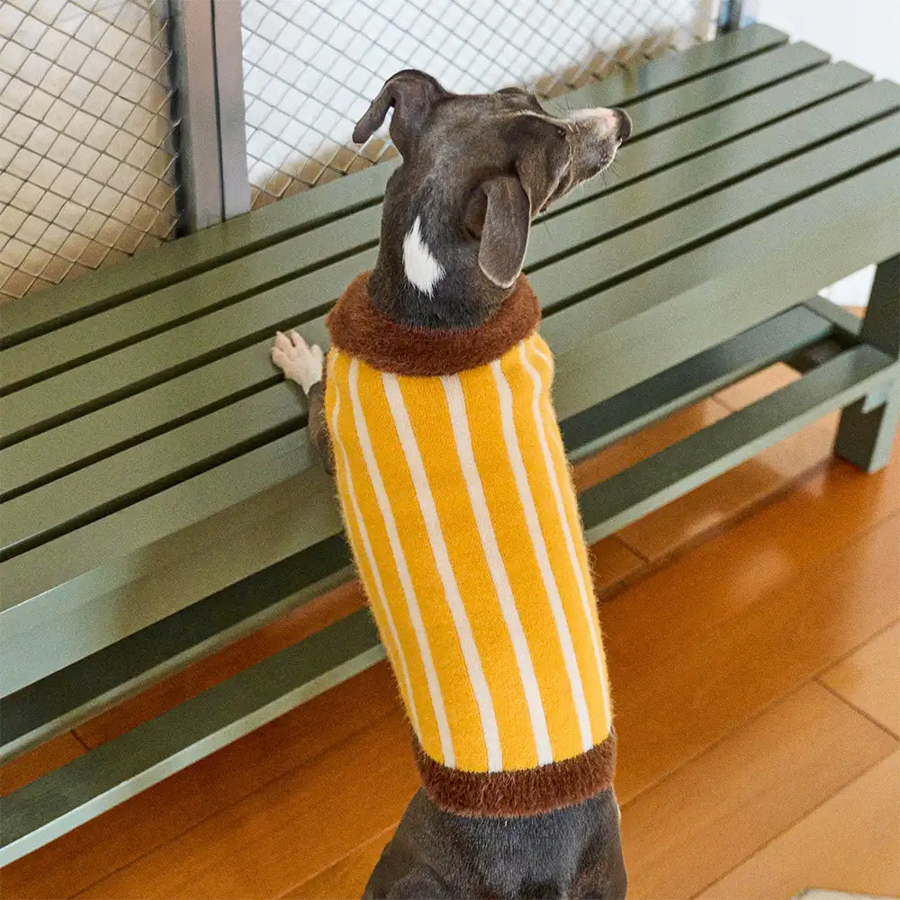 Color Blocked Striped Polo Collar Dog Sweater For Small Dogs