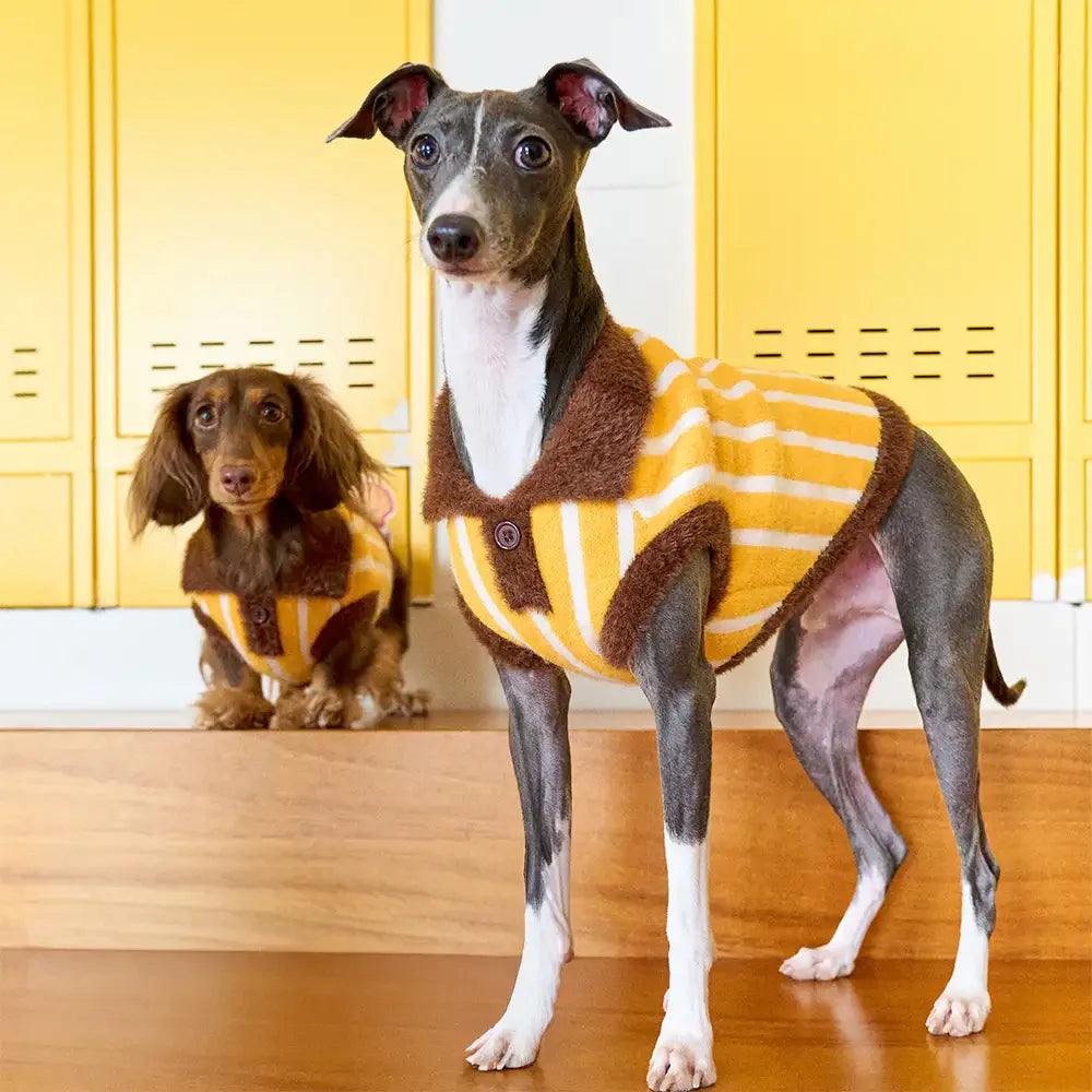 Color Blocked Striped Polo Collar Dog Sweater For Small Dogs